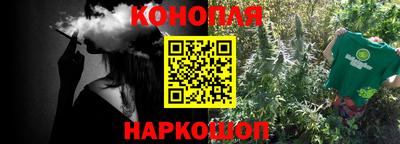 apvp Бийск