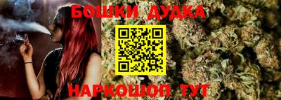 гидра Беслан