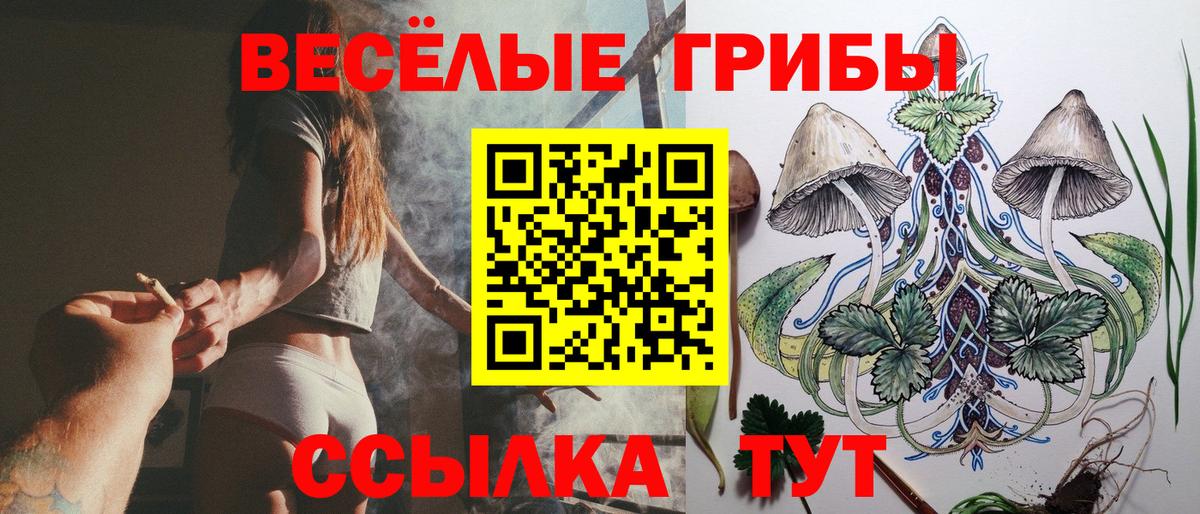 Галлюциногенные грибы ЛСД  Вход с VPN  Советский  Псилоцибиновые грибы мухоморы 