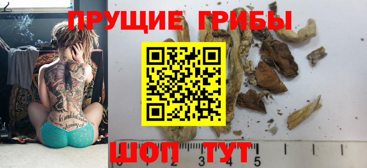 Псилоцибиновые грибы мицелий Советский